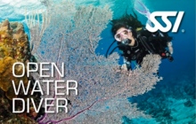 Open Water Diver SSI
