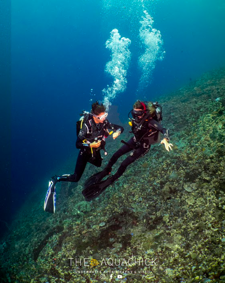 Open Water Diver French Kiss Divers Lembongan