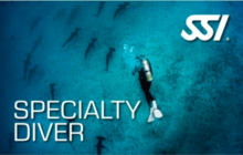 Specialty Diver SSI