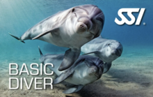 Try Scuba French Kiss Divers Lembongan